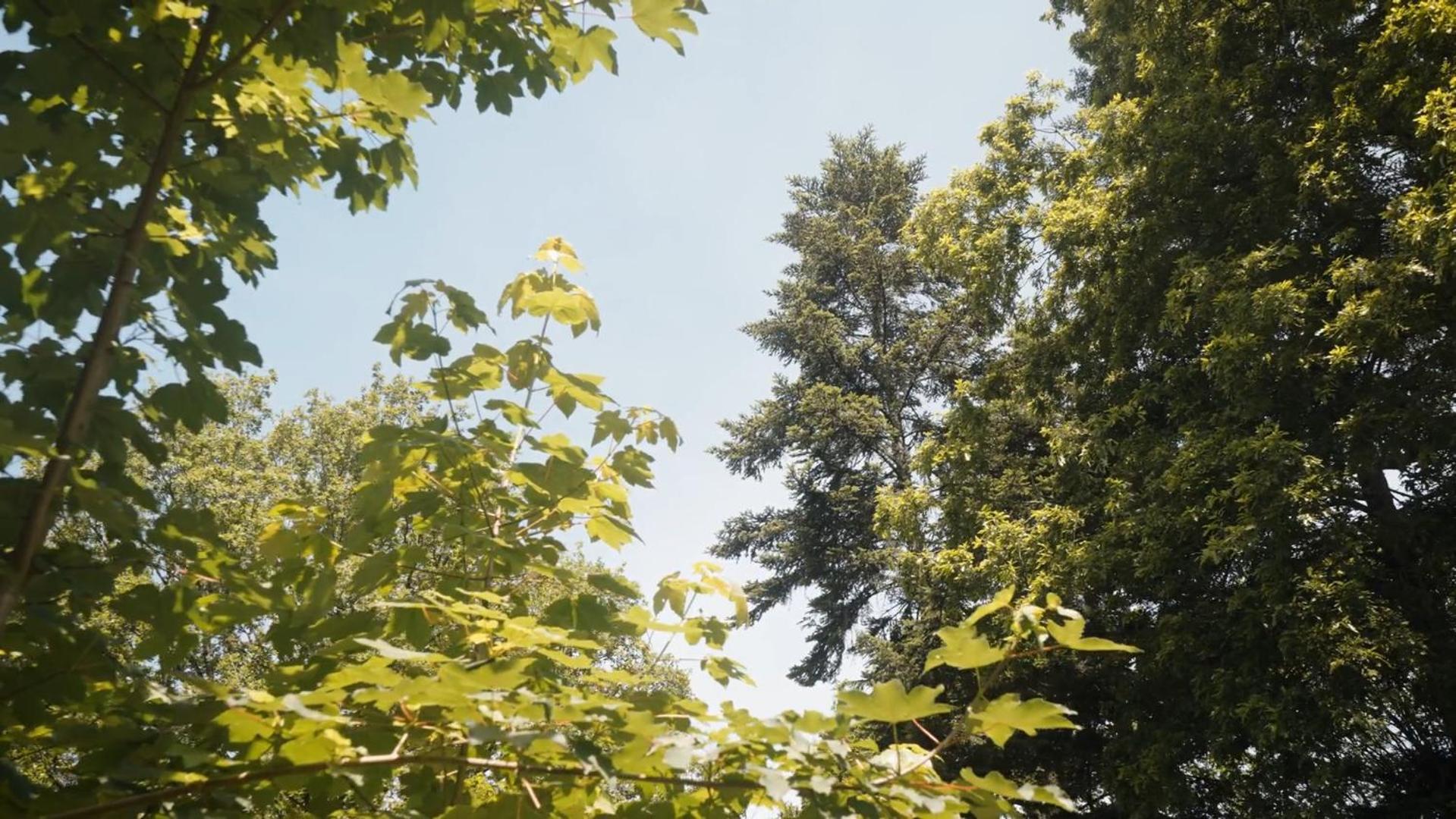 Campsite D'aleth Saint-Malo-de-Beignon